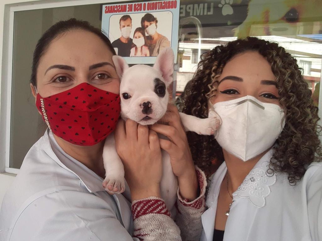 IMPERIO ANIMAL CLÍNICA VETERINÁRIA Clínica Veterinária Inamar Diadema