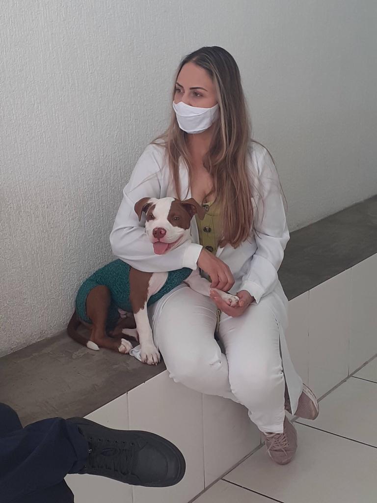 IMPERIO ANIMAL CLÍNICA VETERINÁRIA Clínica Veterinária Inamar Diadema