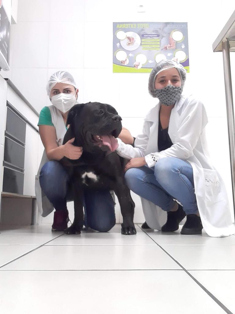 IMPERIO ANIMAL CLÍNICA VETERINÁRIA Clínica Veterinária Inamar Diadema